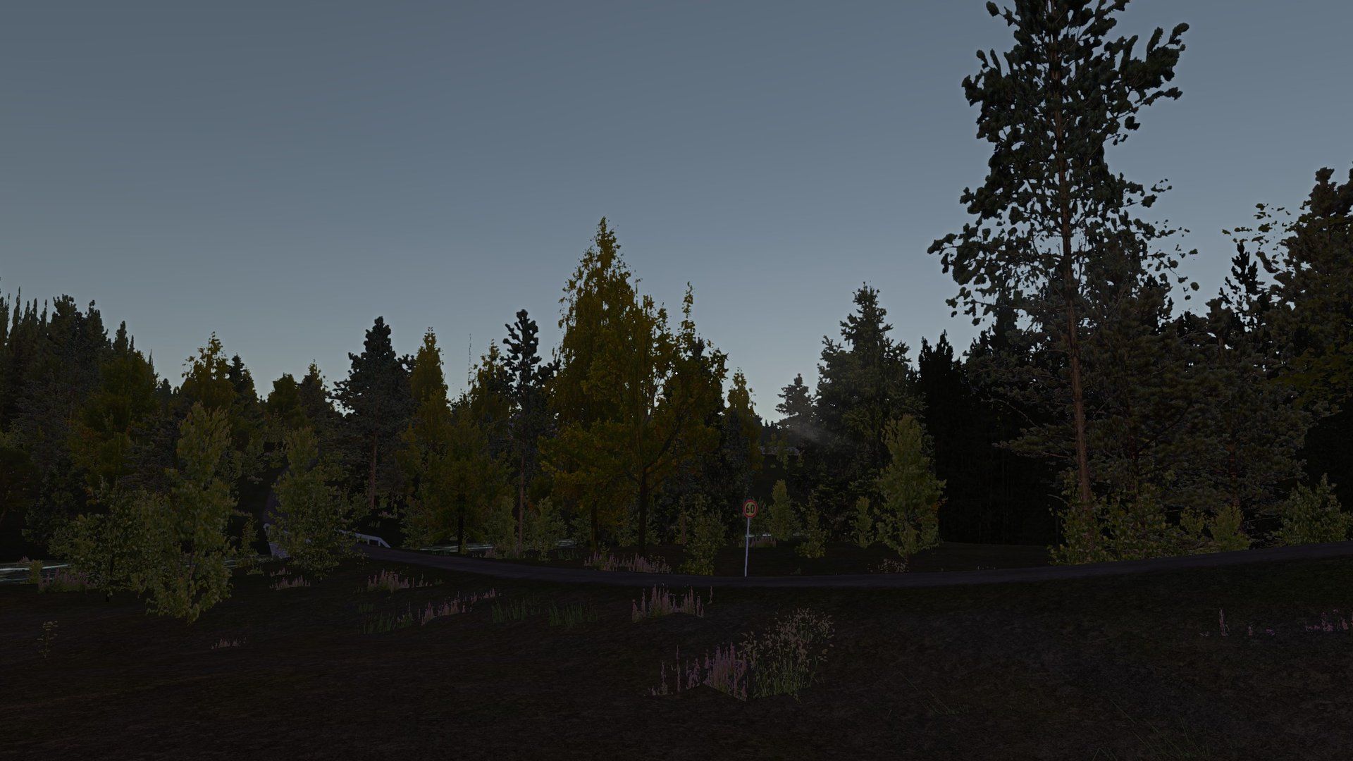Original: Forest sunset